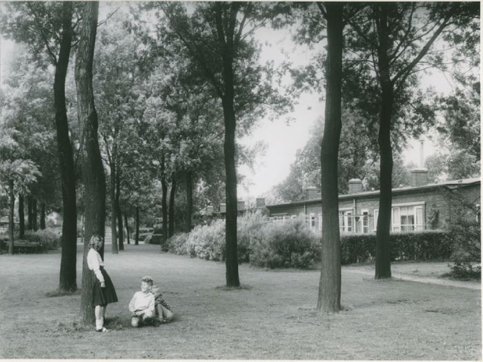Afbeelding met buitenshuis, boom, zwart-wit, gras

Automatisch gegenereerde beschrijving