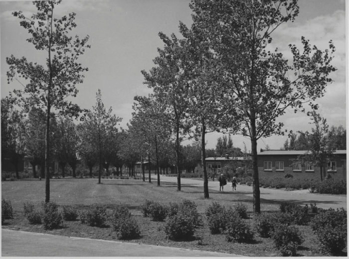 Afbeelding met buitenshuis, boom, hemel, zwart-wit

Automatisch gegenereerde beschrijving